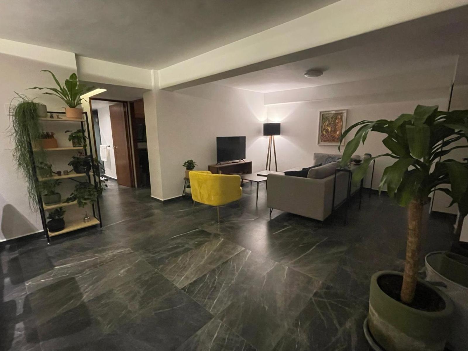 Great Apartment In The Heart Of Coyoacan Мехико Экстерьер фото